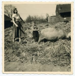 Geschichte Gut Groß-Winkelhausen – Bild 1