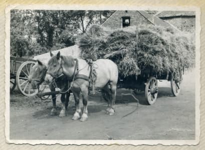 Geschichte Gut Groß-Winkelhausen – Bild 3