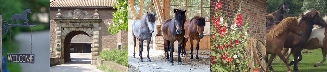 Reitanlage Gut Groß-Winkelhausen – Willkommensschild, Torbogen, Pferde und Hof