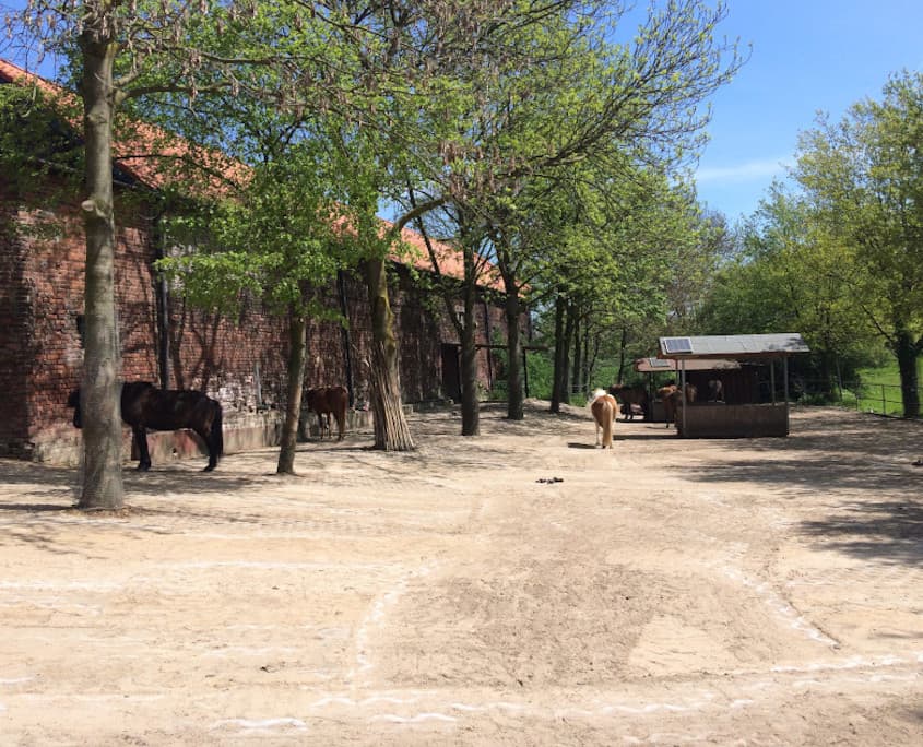 Der Bewegungsstall – Bild 2