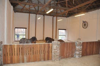 Der Bewegungsstall – Bild 3