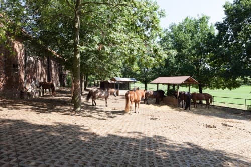 Der Bewegungsstall – Bild 7