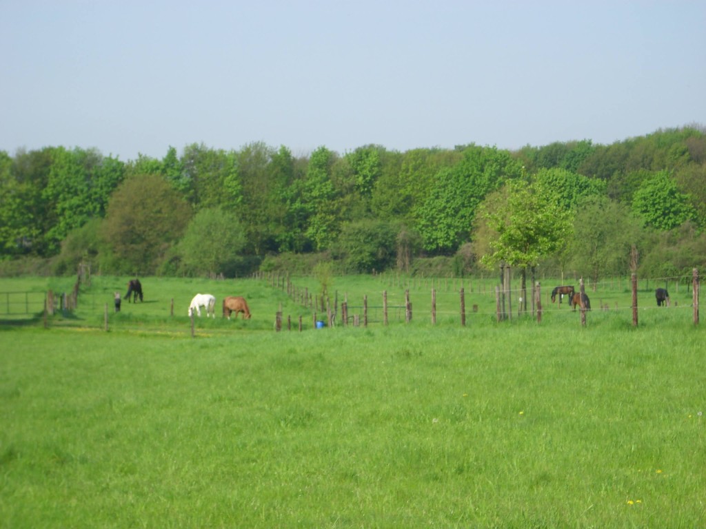 Impression Gut Sonnenhof