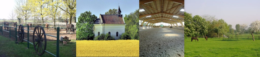 Impression Gut Sonnenhof