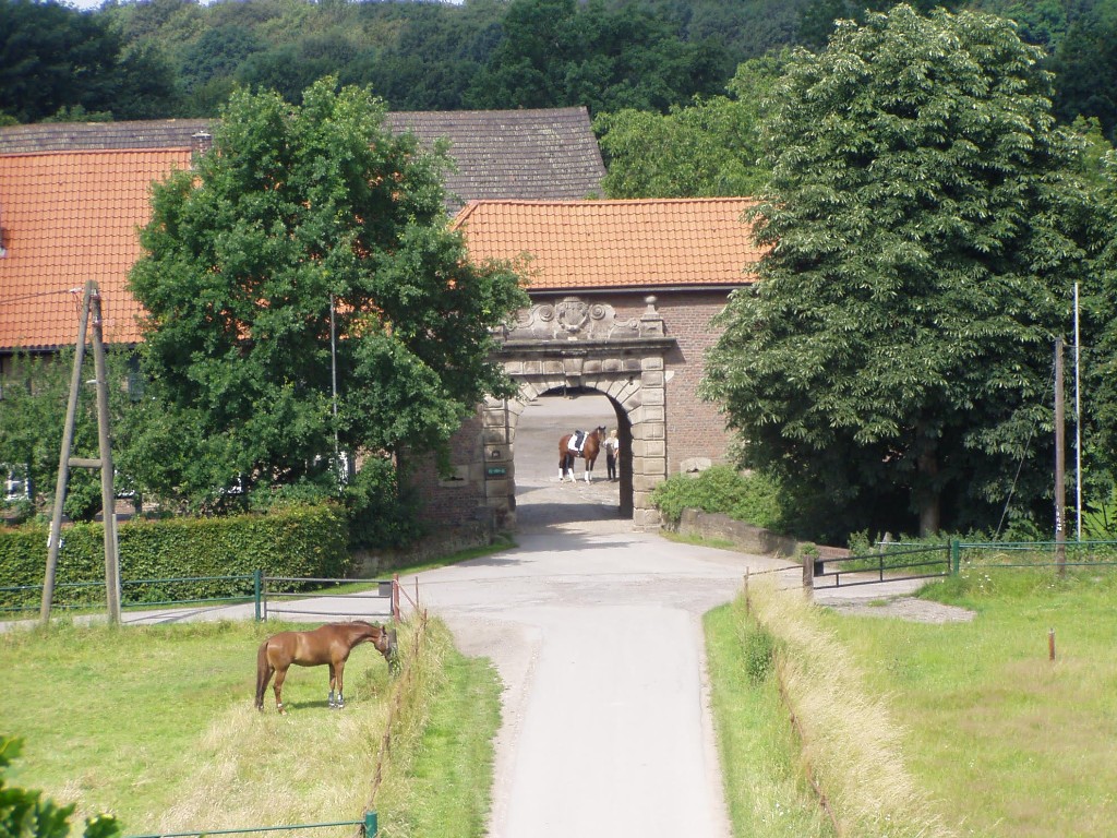 Impression Gut Sonnenhof