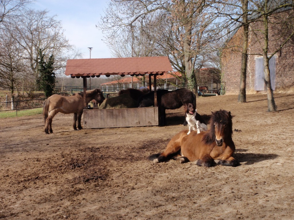 Impression Gut Sonnenhof